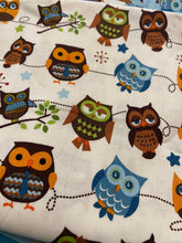 Load image into Gallery viewer, Riley Blake - Hooty Hoot Returns 2013 BUNDLE 1 yard of each
