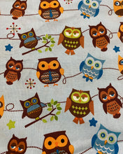 Load image into Gallery viewer, Riley Blake - Hooty Hoot Returns 2013 BUNDLE 1 yard of each
